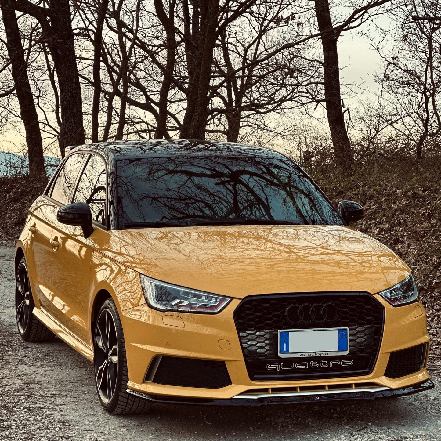 LAMA ANTERIORE AUDI S1