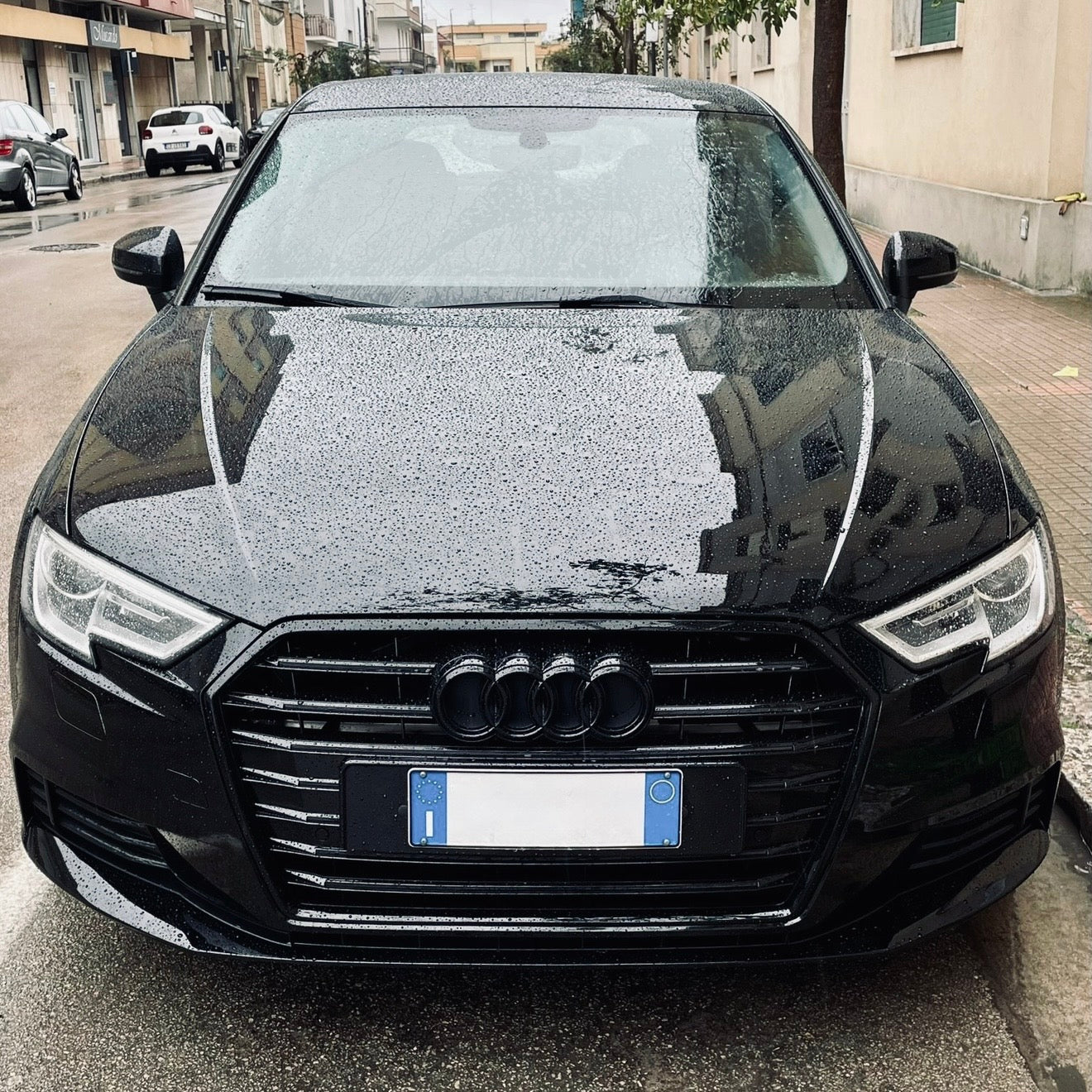 GRIGLIA A3 8V 2017-2019 TIPO S3