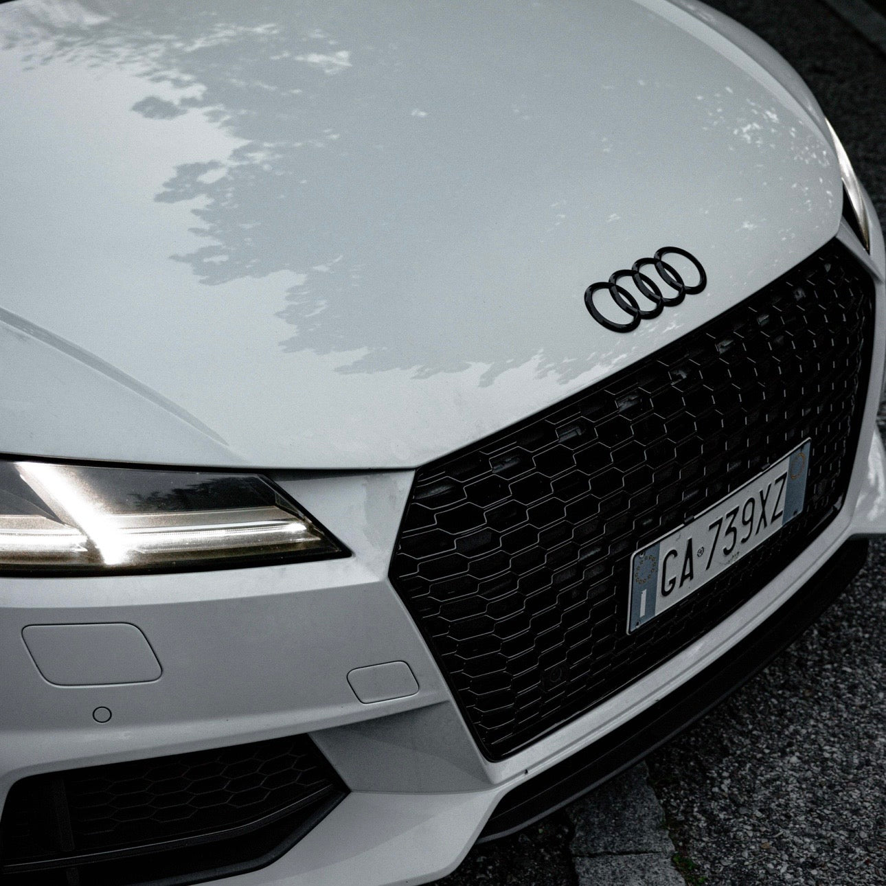 GRIGLIA TT 8S MK3 2014-2023 TIPO RS V2