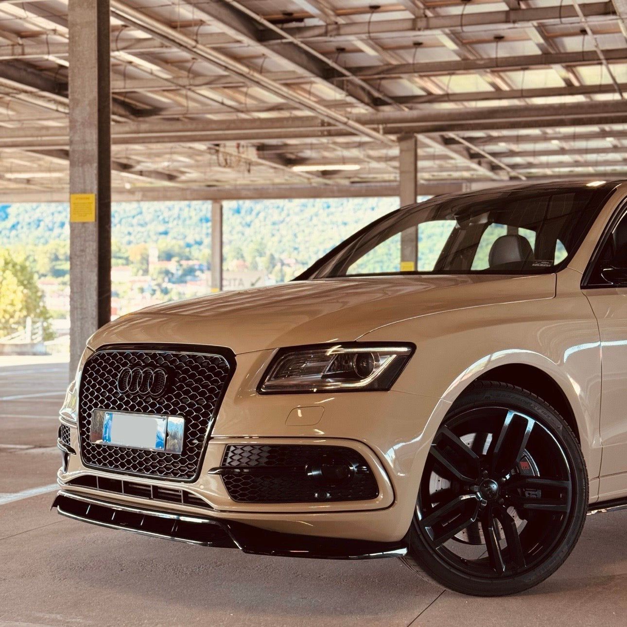 GRIGLIA Q5 8R 2012-2016 TIPO RS