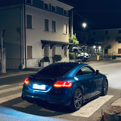 FANALI POSTERIORI LED AUDI TT MK2 8J 2006-2014